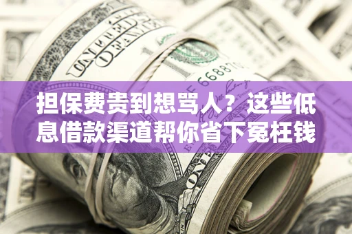 武汉担保费贵到想骂人？这些低息借款渠道帮你省下冤枉钱
