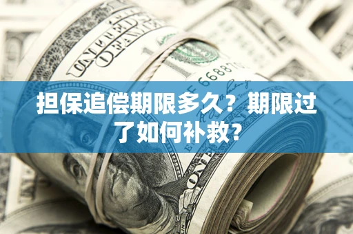 武汉担保追偿期限多久？期限过了如何补救？