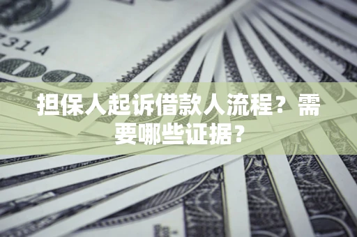 武汉担保人起诉借款人流程？需要哪些证据？