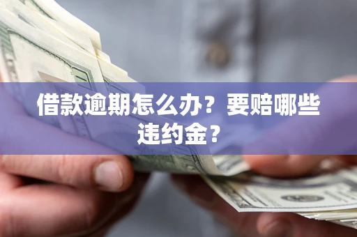 武汉借款逾期怎么办？要赔哪些违约金？