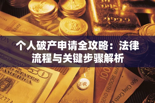 武汉个人破产申请全攻略：法律流程与关键步骤解析